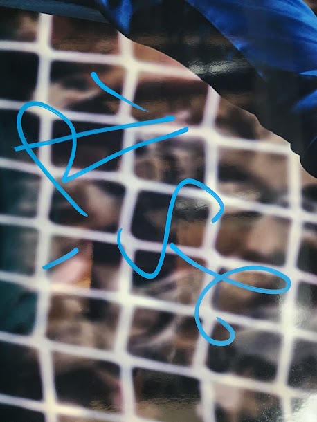 Hope Solo Auto 16x20 Soccer Photo Team USA PSA COA