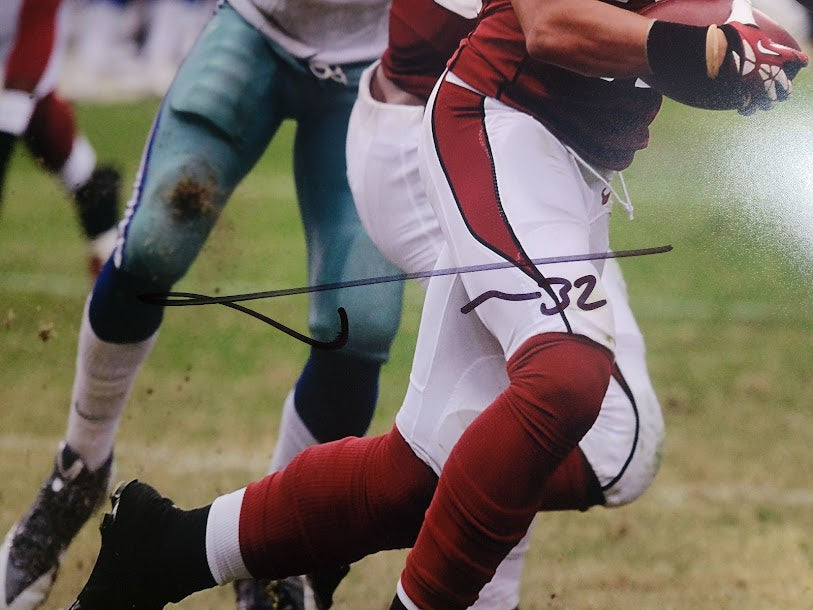 Tyron Mathieu Autographed 16x20 Photo Cardinals PSA COA