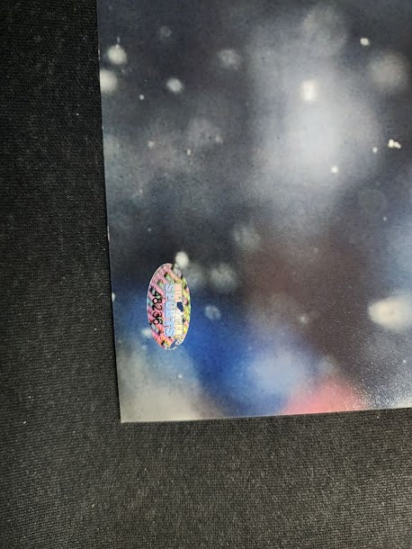 Matt Hasselbeck Auto 16x20 Seahawks Photo Mill Creek COA Snow