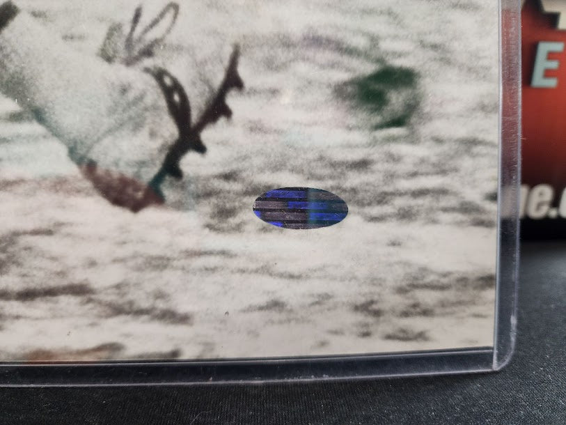 OJ Simpson Autographed 16x20 Photo Bills Steiner COA