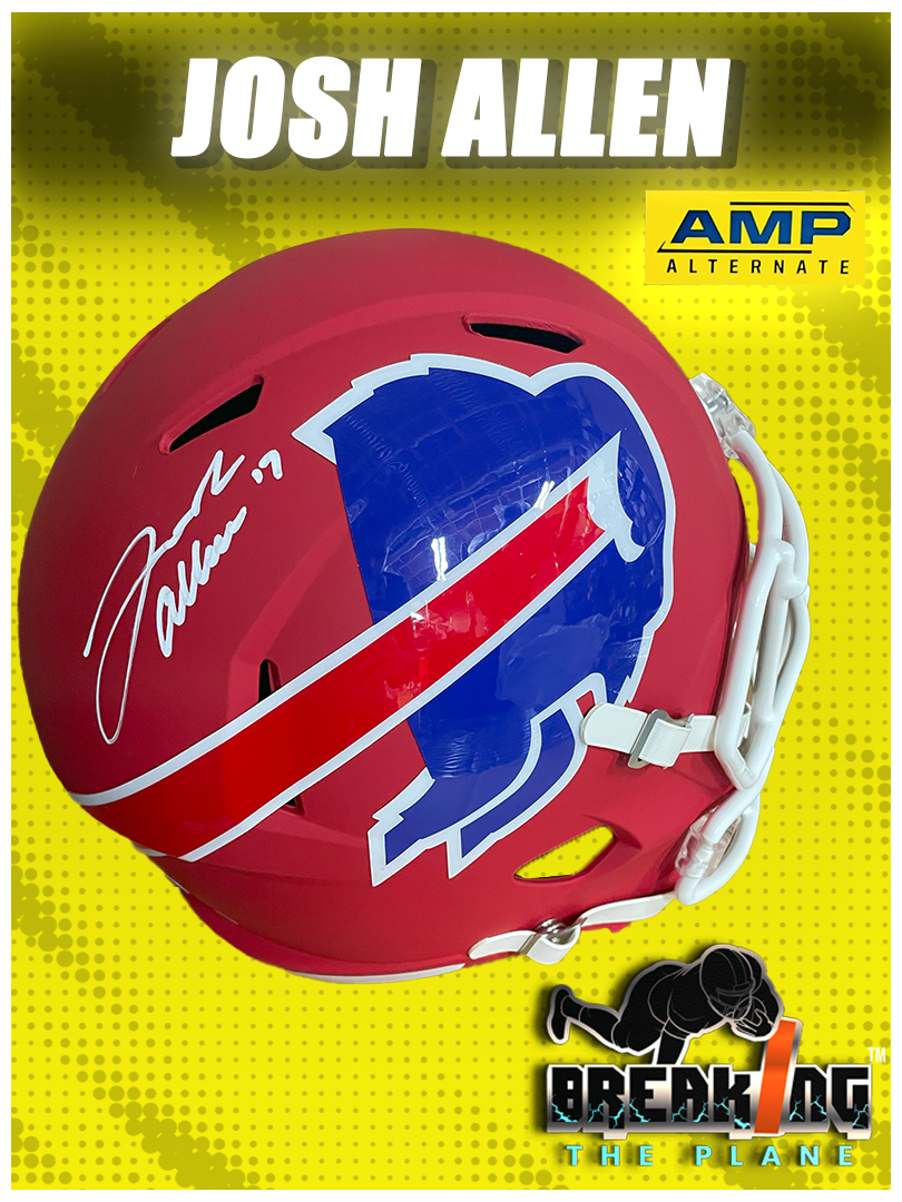 BTP FULL SIZE HELMET SERIES 13 HEADLINERS (FOR REFERENCE ONLY)