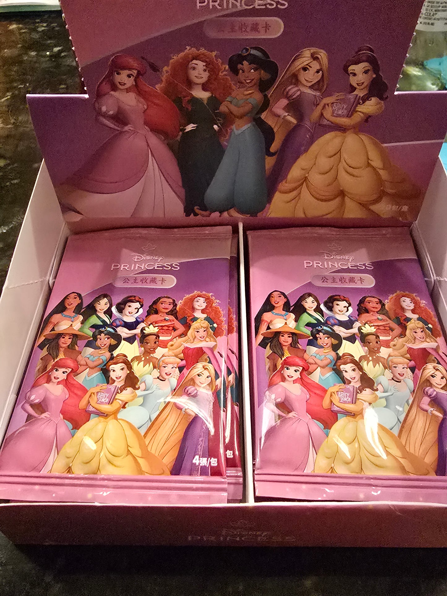 Disney Princess Innoedu Hobby Pack