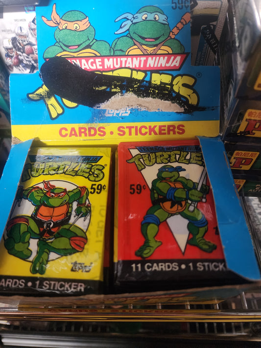 Teenage Mutant Ninja Turtles TMNT Series 1 Pack Personal Personal Break