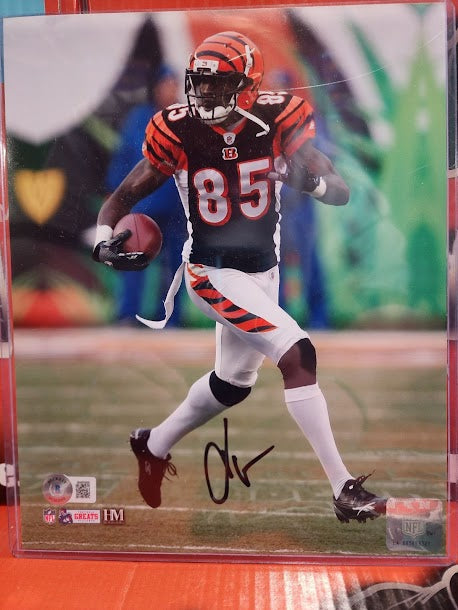 Chad Johnson Auto 8x10 Photo Bengals Beckett COA