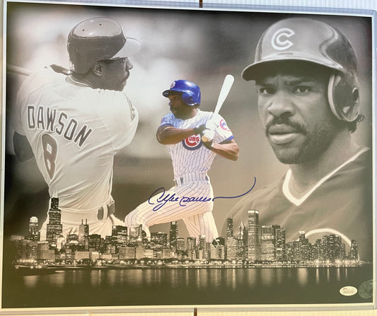 Andre Dawson Chicago Cubs Autographed Baseball 16x20 Photo With JSA COA