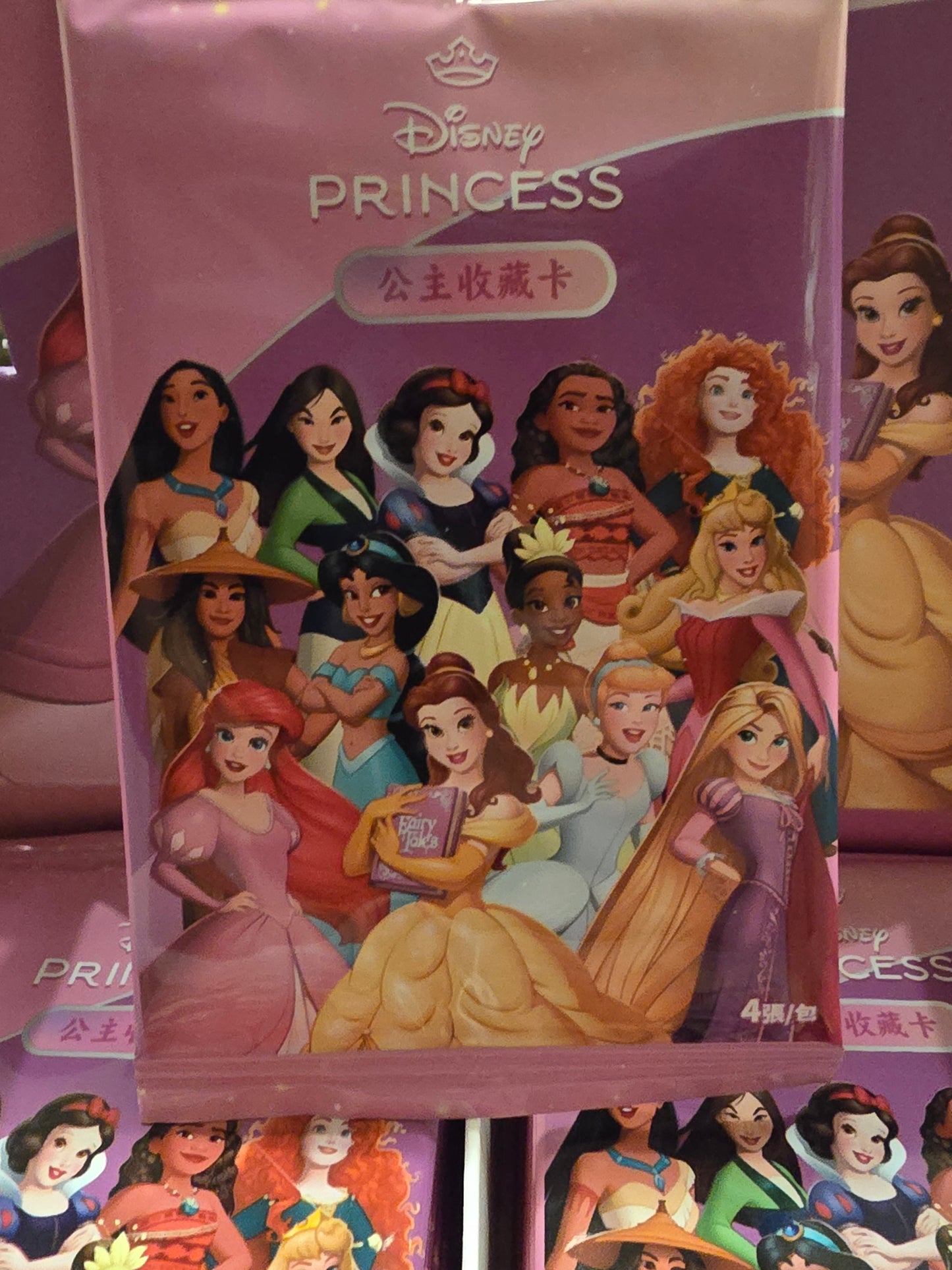 Disney Princess Innoedu Hobby Pack